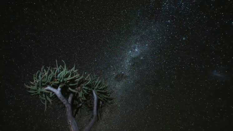 Video: Exploring Africa s largest quiver tree park in Namibia STORY 