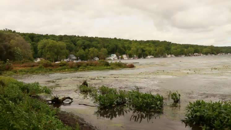 View of a dirty lake and small residential buildings in HD A view of a ...