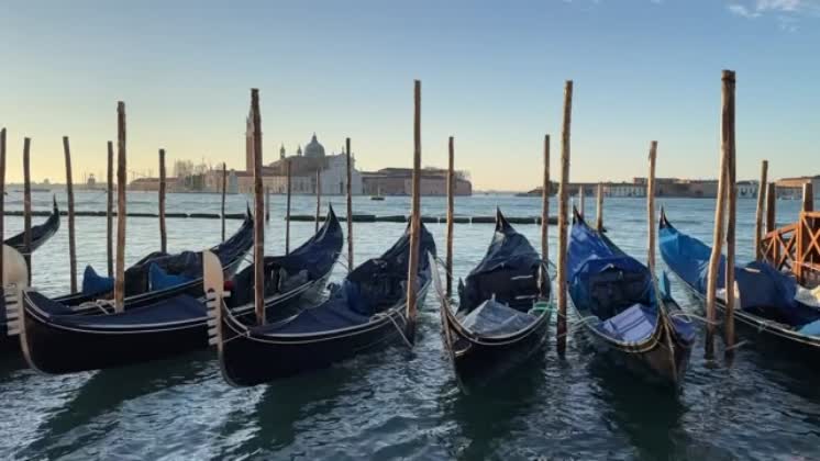 Venice gondolas in morning light. A stunning view of a row of gondolas ...